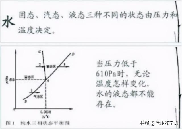 真空冷冻干燥机的原理和曲线图 